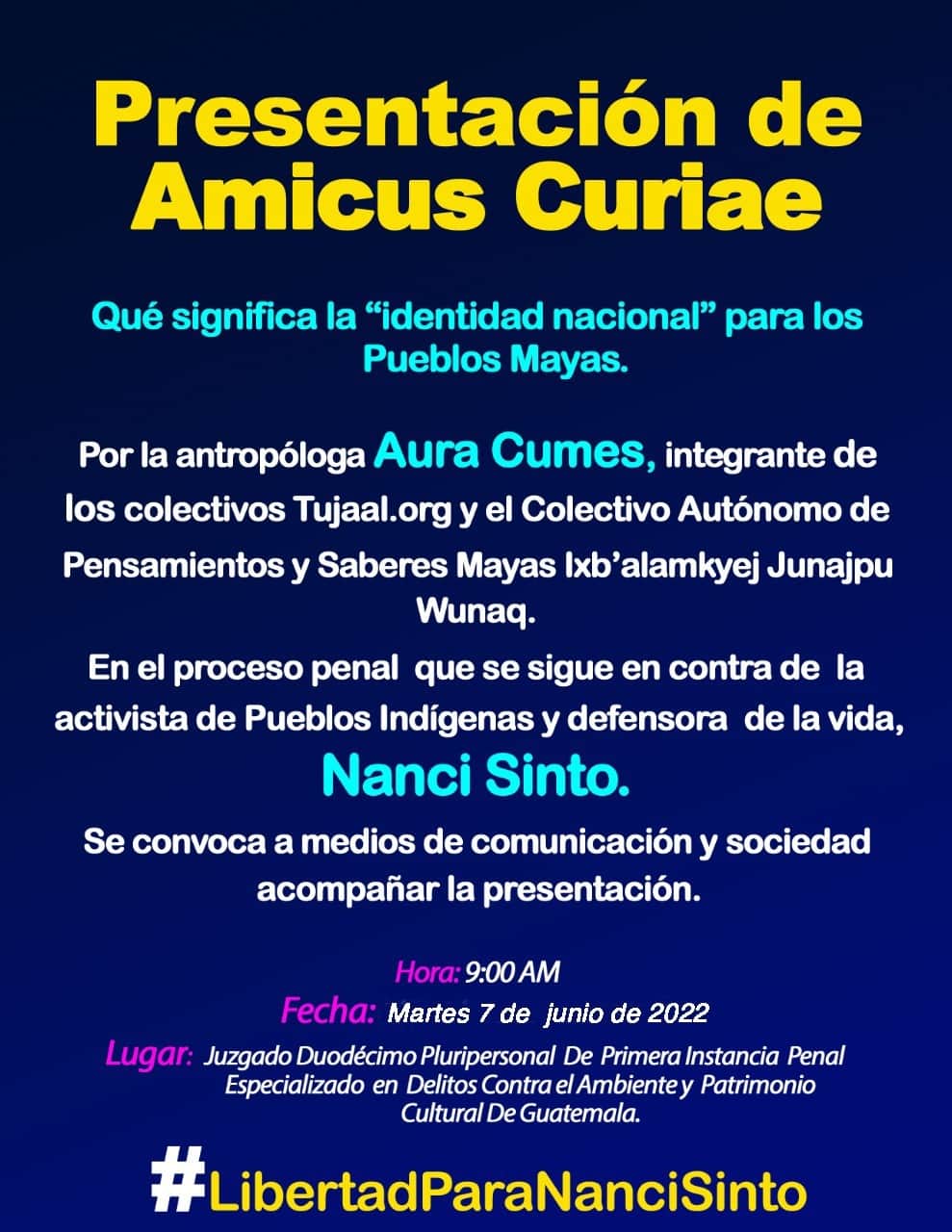 Amicus curiae: Qué significa la “identidad nacional” para los Pueblos Mayas.